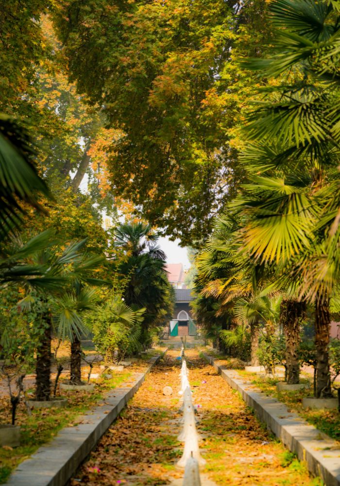 images/new-deal/Kashmir Tour Package 5 Nights 6 Days 1.jpg